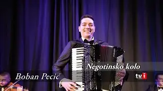 Boban Pecić - Negotinsko kolo