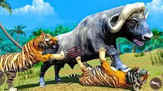 Tiger king V's Lion King fighting Simulator Animal games Android Gameplay New updated unlimited, 