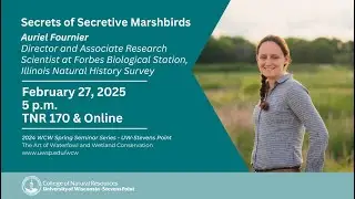 The Secrets of Secretive Marshbirds