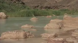 Calm River - Royalty Free Stock Footage