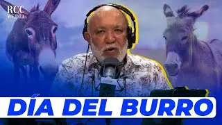 DATOS QUE NO SABIAS DE LOS BURROS EN EL MISMO GOLPE CON JOCHY