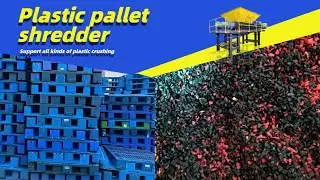 Plastic Pallet Shredder: A Duet of Environmentalism and Efficiency #plasticshredder