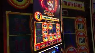 Fire Lion Slot machine | $1 bet | coin collect bonus | dec 31, 2025