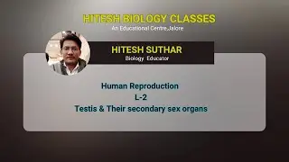 Human reproduction (L-2 testis and their secondary sex organs)