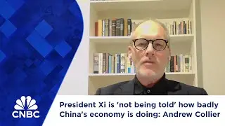 President Xi is 'not being told' how badly China's economy is doing: Andrew Collier