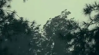 Relaxing Heavy rain sound (pink noise, white noise)