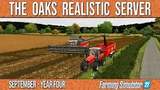 Wrapping up Harvest - Argsy Farms Diary - September Year Four