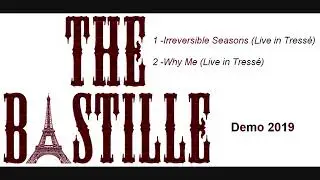 The Bastille -Irreversible Seasons (Live in Tressé)