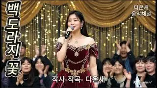백 도라지 꽃