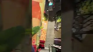 New Shanghai Restaurant @ Reem Mall, Abu Dhabi #shortvideo  #shortsvideo #shorts #reemmall #goodfood