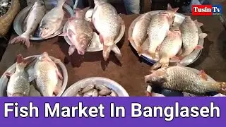 biggest fish market in bangladesh.দেশি মাছের বাজার বাংলাদেশ।