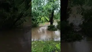 Inpo Galatama PIK