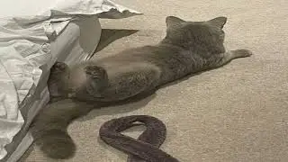 song I made 7 years ago played over strange images