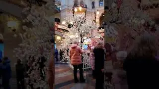 #Фонтан#ГУМ #Яблони_сердечки#Каток#23февраля #shorts #video #news #viral #live #games