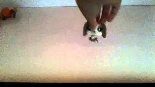 LPS- trade video for colliepops