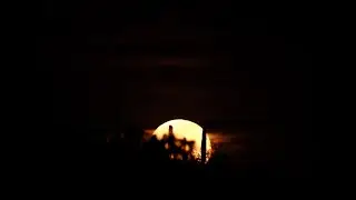 Rise of the Flower Moon, May 2020