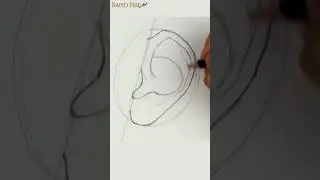 Как нарисовать ухо #искусство #рисунок #урок