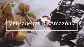 Mensageiras da Amazônia: jovens Munduruku usam drone e celular para resistir às invasões