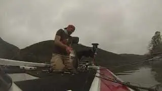Lake Austin Bass Fishing - 26lb limit