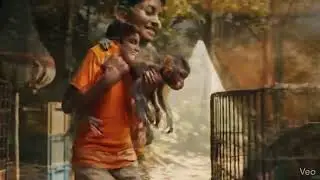 6-Year-Old Hero Rescues Baby Monkey from Circus | Heartwarming Animal Rescue