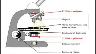 microscope polarisant
