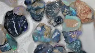 179.9 cts Black Rough Opal Parcel Lightning Ridge Potch & Colour CMR