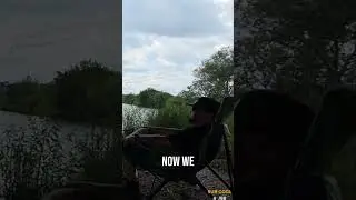 Bait Thief Caught! Tiny Hook Solves Fishing Mystery! #shorts