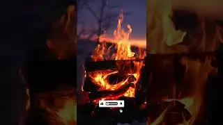Diya vs Fire: Which One Lights Up Your Life Better?
