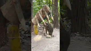 Amazing Wild Pig Trap 🪤 Make Using Spade Big Sharp Wood #shorts #shortsvideo #animals #shortsviral