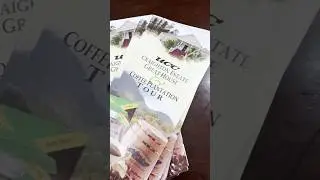 Things to do in Jamaica - Blue Mountain Coffee Tour