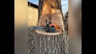 Мощные бензопилы Holzfforma G255, G660 Pro и G888 &ndash; надежность, доступная каждому профессионалу!