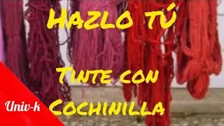 Cómo teñir lana. Tinte con cochinilla. Haz tú. Descripción paso a paso.Teñido de lana, fibras natur.