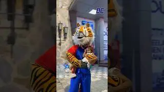 Always 𝗥𝗢𝗖𝗞𝗬ing Off-Field For Us 🐯💙 | Delhi Capitals | IPL 2024