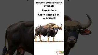 Bihar Official State Symbols | Focus Channel | #shorts #bihar #symbols #knowledge #info #gkshorts