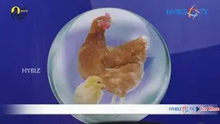 Vetina Healthcare | Veterinary professions, Ruminants , Poultry, Aqua Healthcare