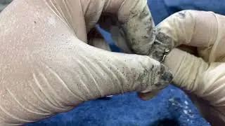 Polymer 80 Glock 17 Polishing the Trigger part 1