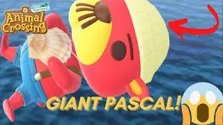 Giant Floating Pascal - Animal Crossing New Horizons Glitch #shorts