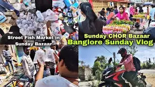 Today I visited Sunday Fish Market |  CHOR Bazaar Bangalore, Lal Bhag & Market Street Fish shop