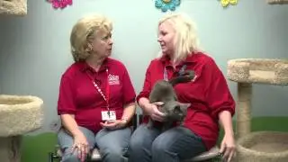 Irvine Pets & Co. #182