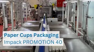 Paper Cups Packaging | Inline Counting and Automation System with Box Motion Machine