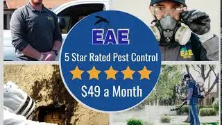 Mesa Pest Control Service 85202