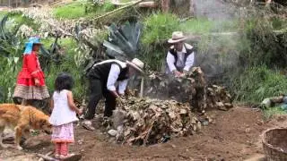 Kirsten describes her Crooked Trails volunteer experience in Peru