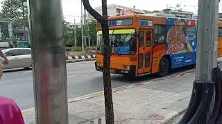 Bus Line 205 (3-51) [4-44190]