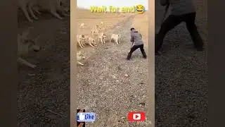 #shots viral video 📸 please sappot my channel #rk with fact time2.0#shots latest funny video