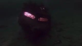 Diving trip to Southern Norway - Part 2