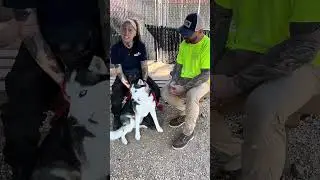 Принять, а не покупать…