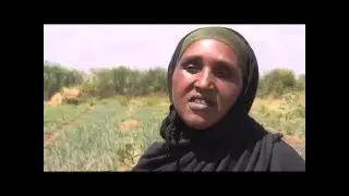 Chamwada Report:Episode 34 Part 1 13th March 2016