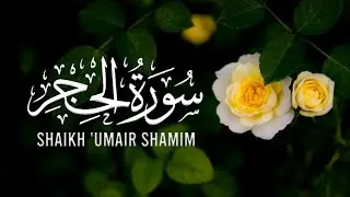 MORBIDA RECITAZIONE DEL CORANO CON SOTTOTITOLI IN ITALIANO | 'UMAIR SHAMIM