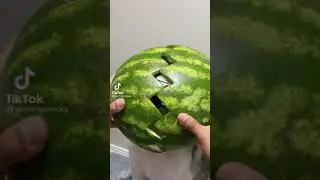 Watermelon Wolf 🤣🤣😁