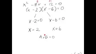 Junior Cert Maths Paper 1 - Quadratic Equations explained